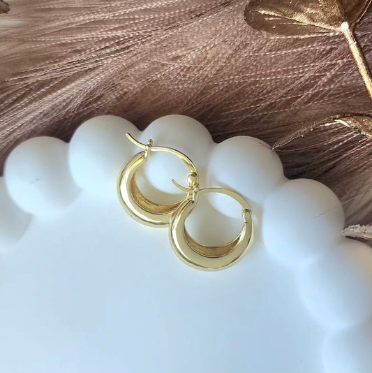 Hoop Earrings
